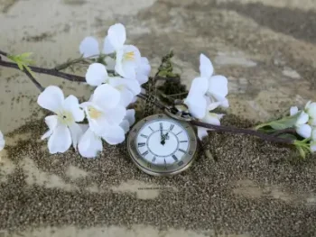 Meditation Workshop on contemplating Death