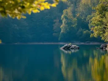 Meditation Class - Instructions for Training the Mind