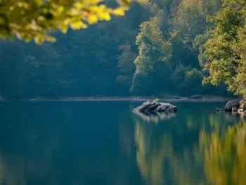 Meditation Class - Instructions for Training the Mind