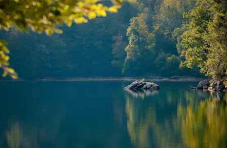 Meditation Class - Instructions for Training the Mind