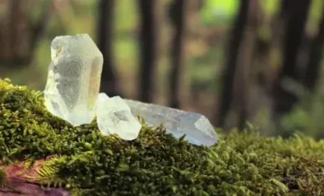 {{brizy_dc_image_alt entityId=