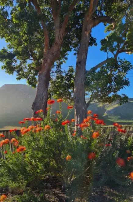 kleinmond (1) Kleinmond